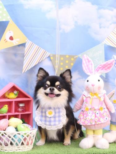 20240321ボスくん